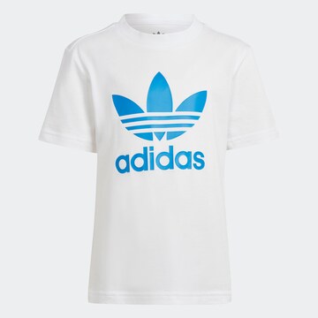 ADIDAS ORIGINALS Set 'Adicolor' in Blue