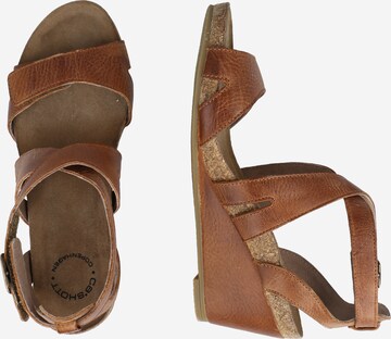 Ca'Shott Sandals in Brown