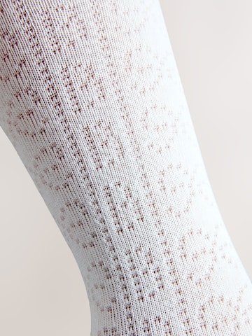 Baker by Ted Baker Panty's in Roze