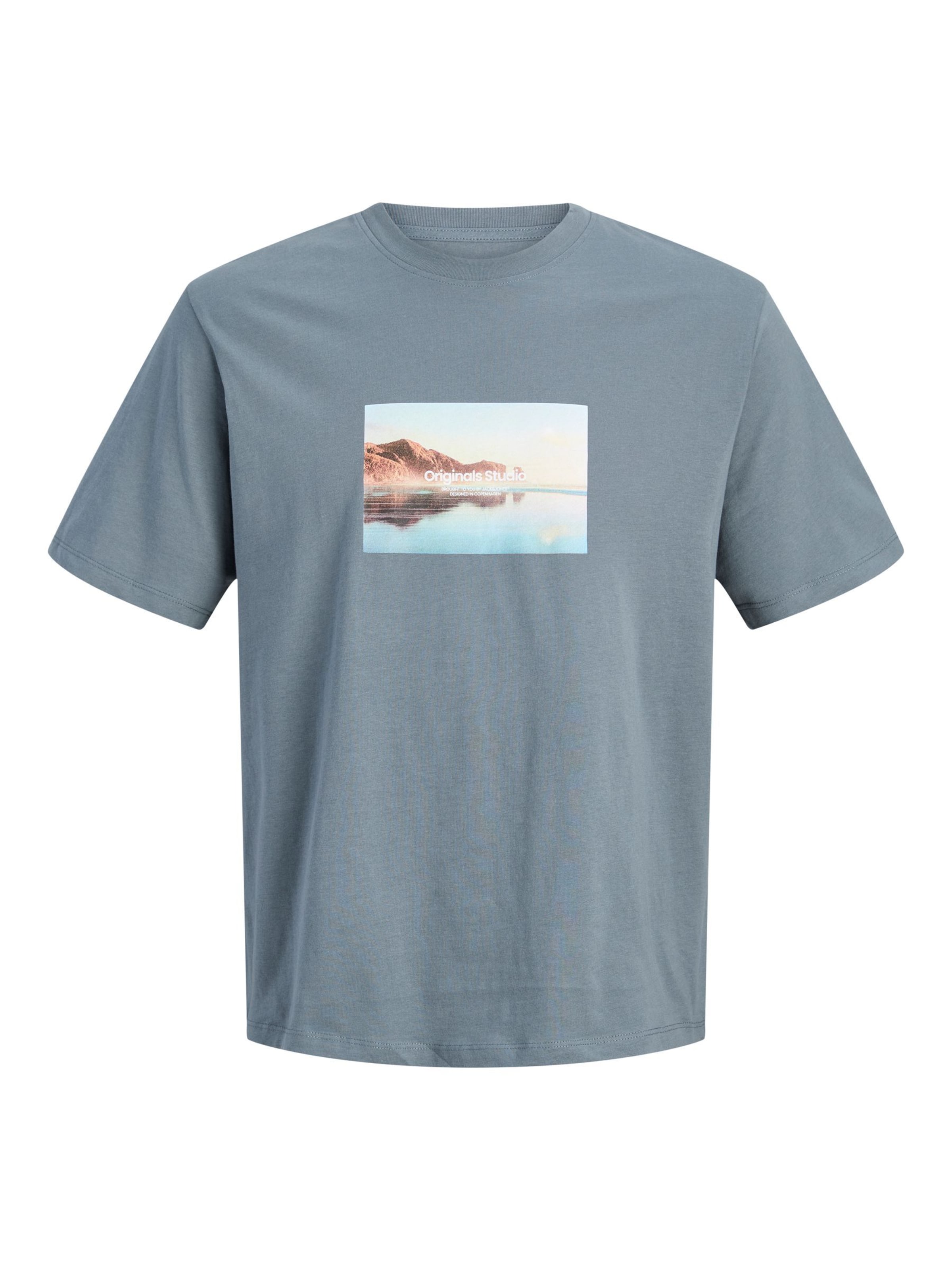 JACK & JONES Bluser & t-shirts i grå: forside