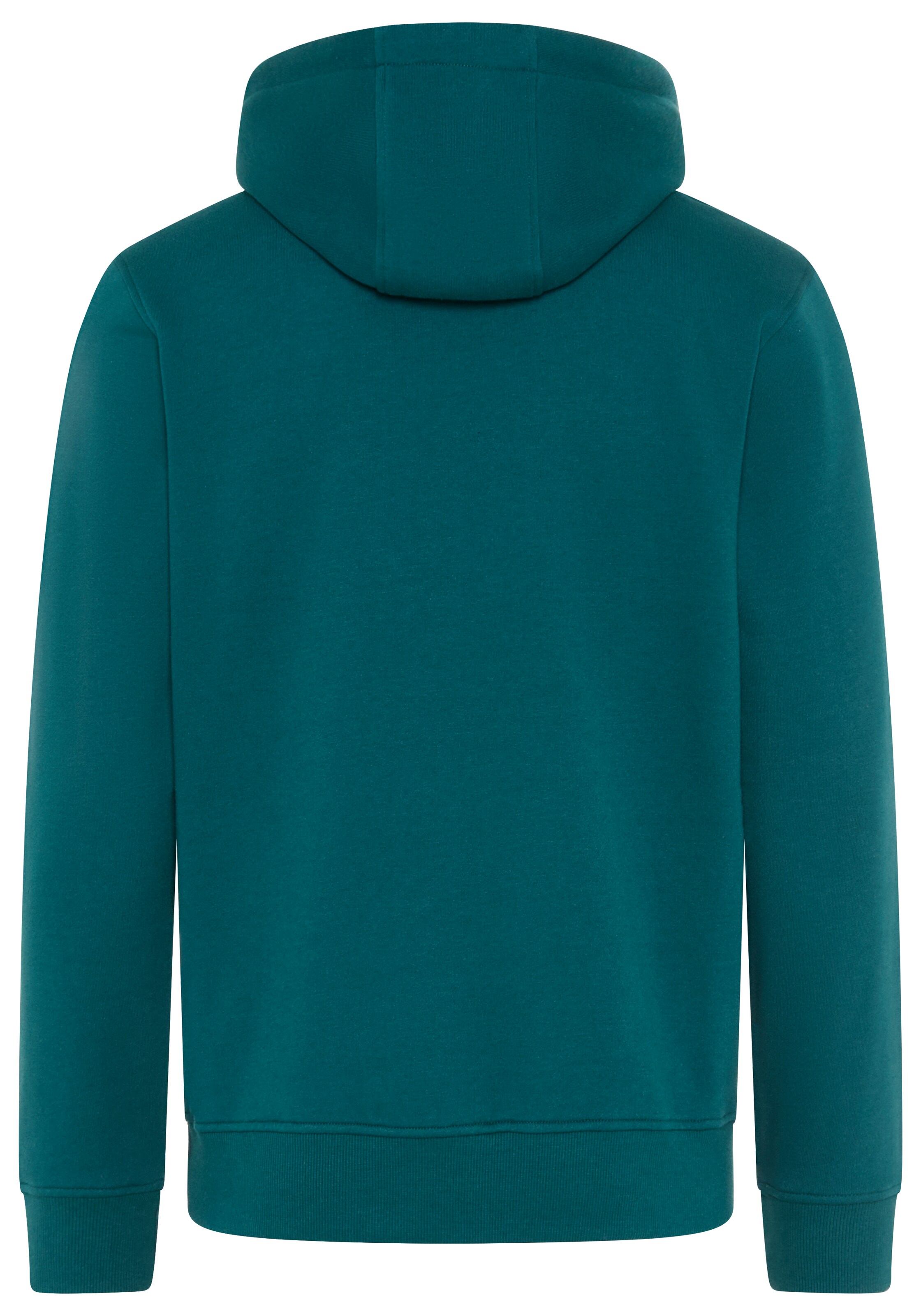 Bruno Banani LM Sweatshirt in Grün