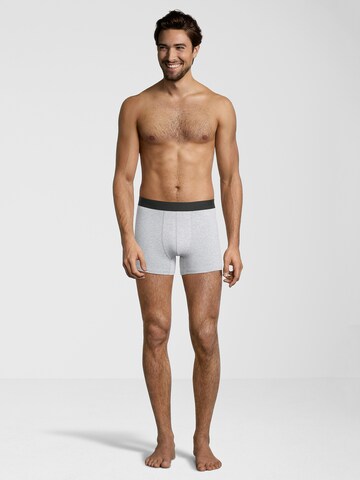 Albert Schäfer Boxer shorts in Grey