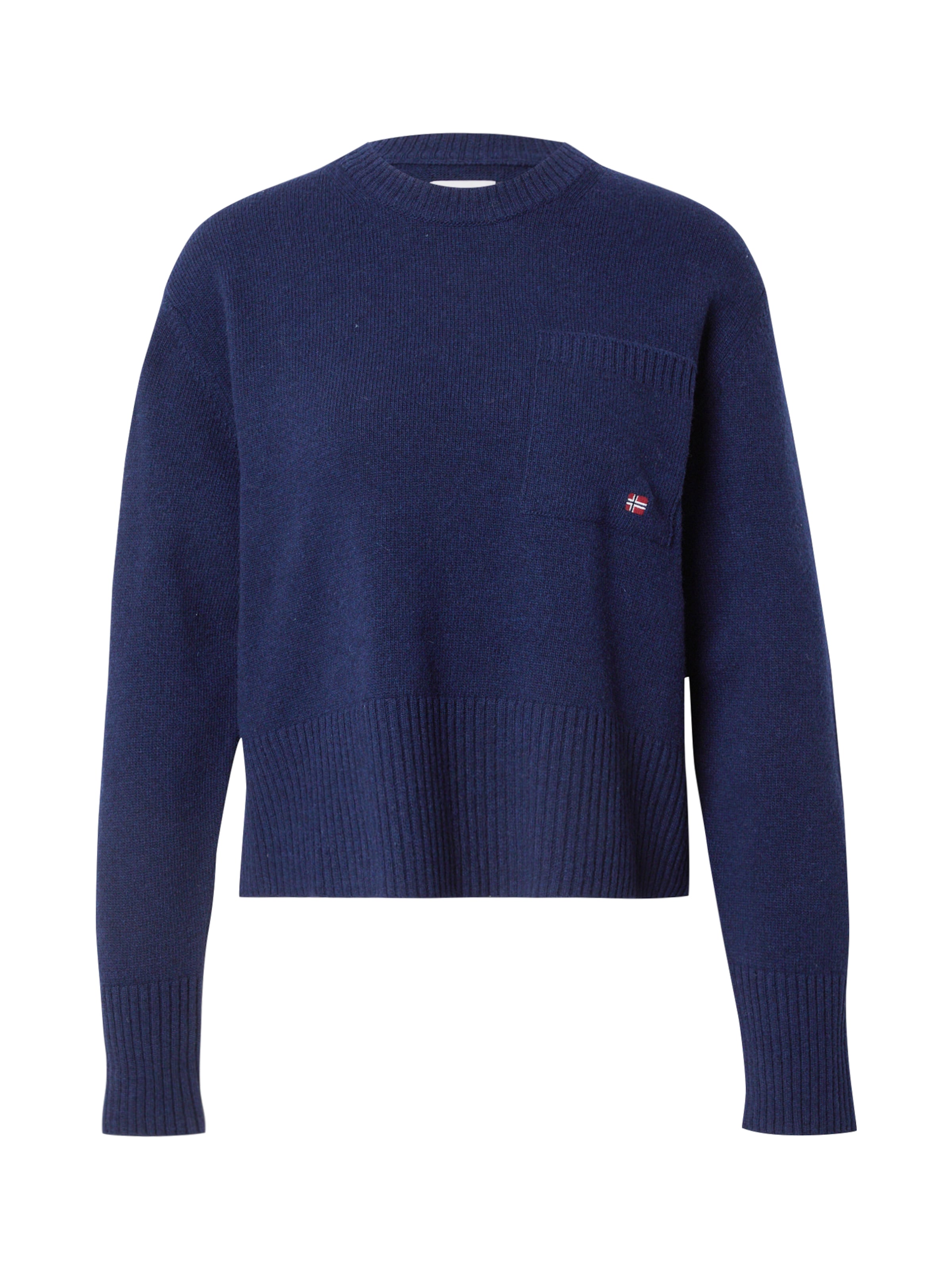 NAPAPIJRI - Jersey 'DELIAS' en azul: frente