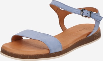 Sandales 'Marisa' Apple of Eden en bleu : devant