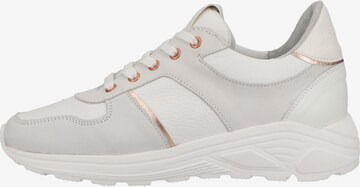 Steven New York Sneaker in Grau