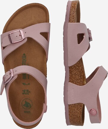 BIRKENSTOCK Сандали 'Rio' в розово