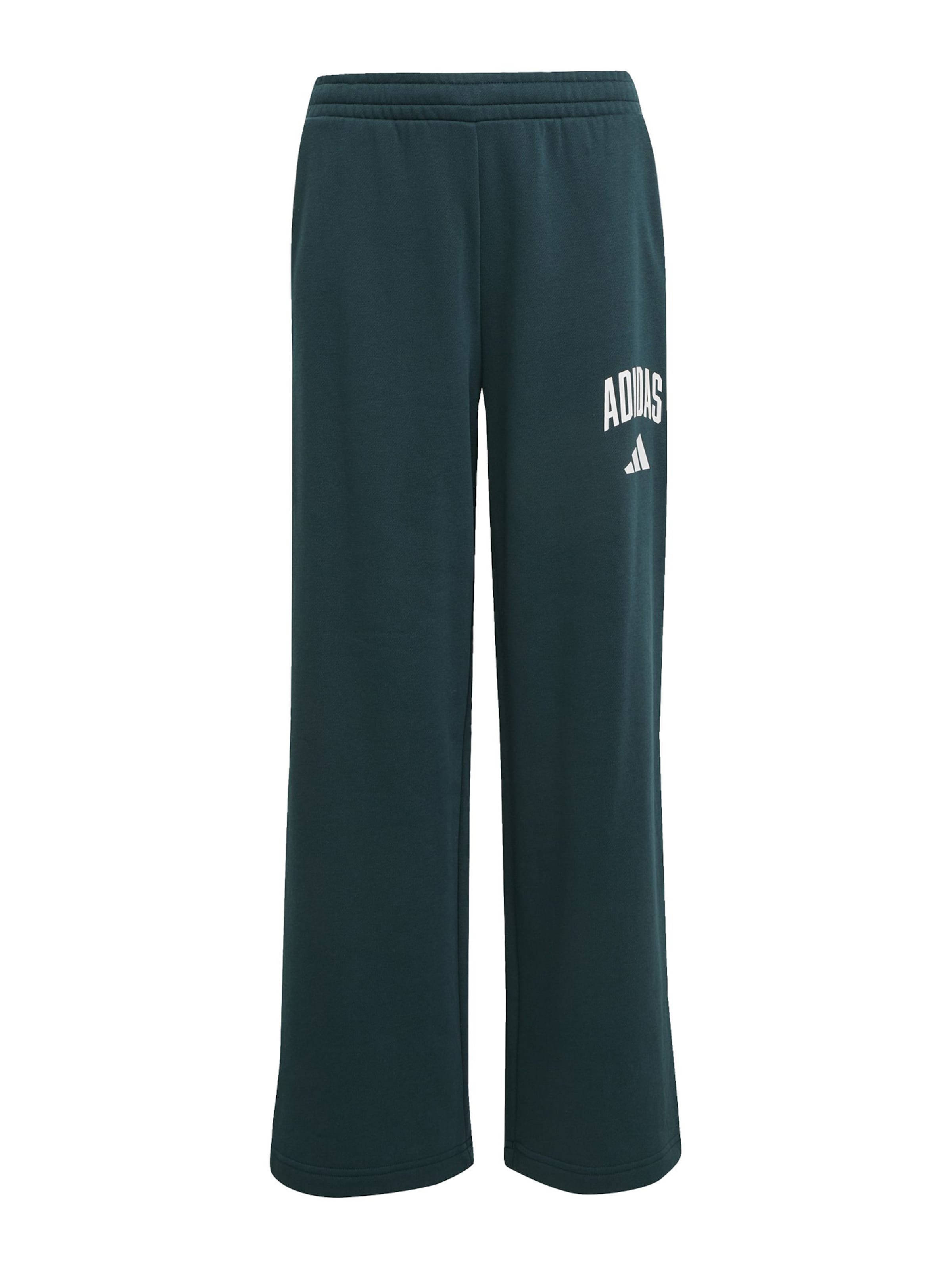 ADIDAS SPORTSWEAR Regular Urheiluhousut värissä vihreä: etupuoli