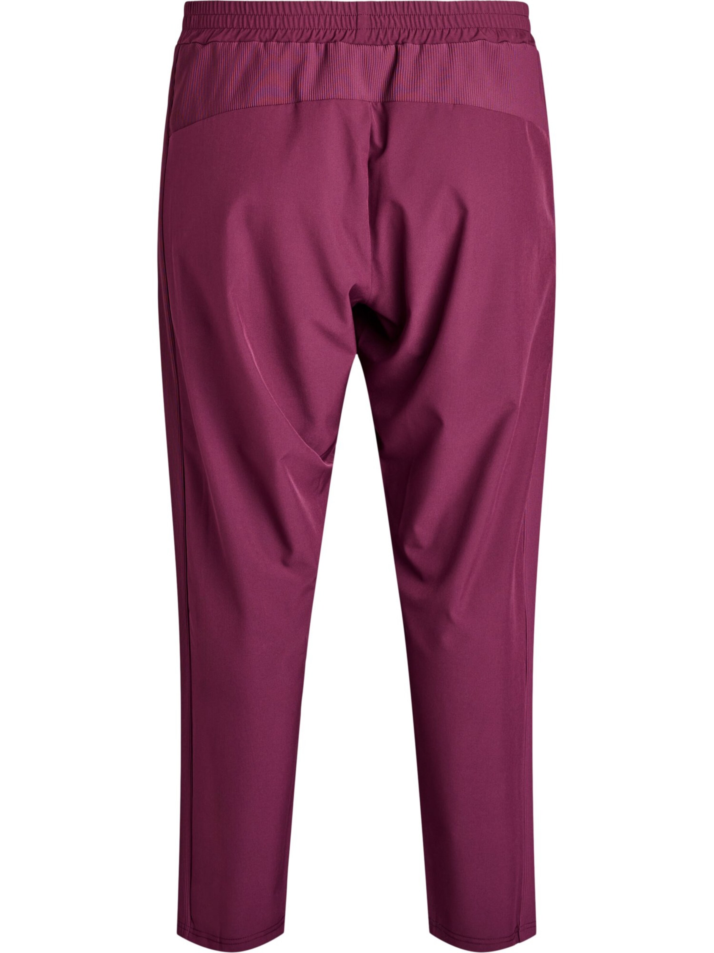 Tapered Pantaloni 'ACLARA' de la Active by Zizzi pe mov