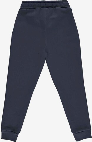 Regular Pantalon Müsli by GREEN COTTON en bleu