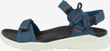 ECCO Hiking Sandals 'X-Trinsic' in Blue