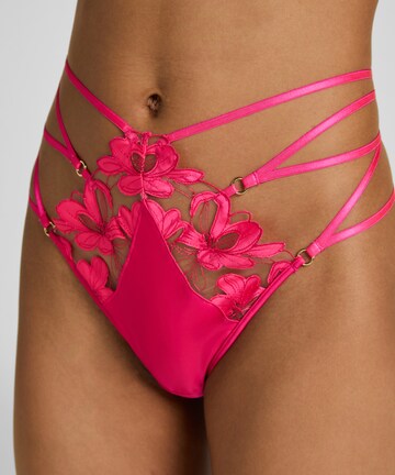 Culotte Hunkemöller en rose