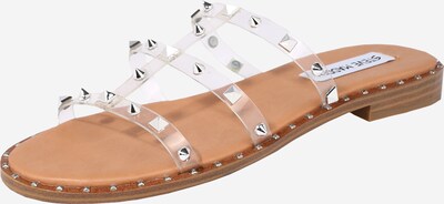 STEVE MADDEN Pantolette 'Tenerife' in silber / transparent, Produktansicht