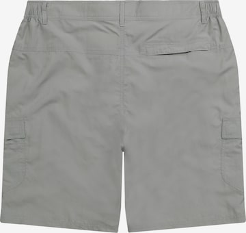 JAY-PI Regular Pants in Grey