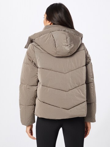 Calvin Klein Winter Jacket in Brown