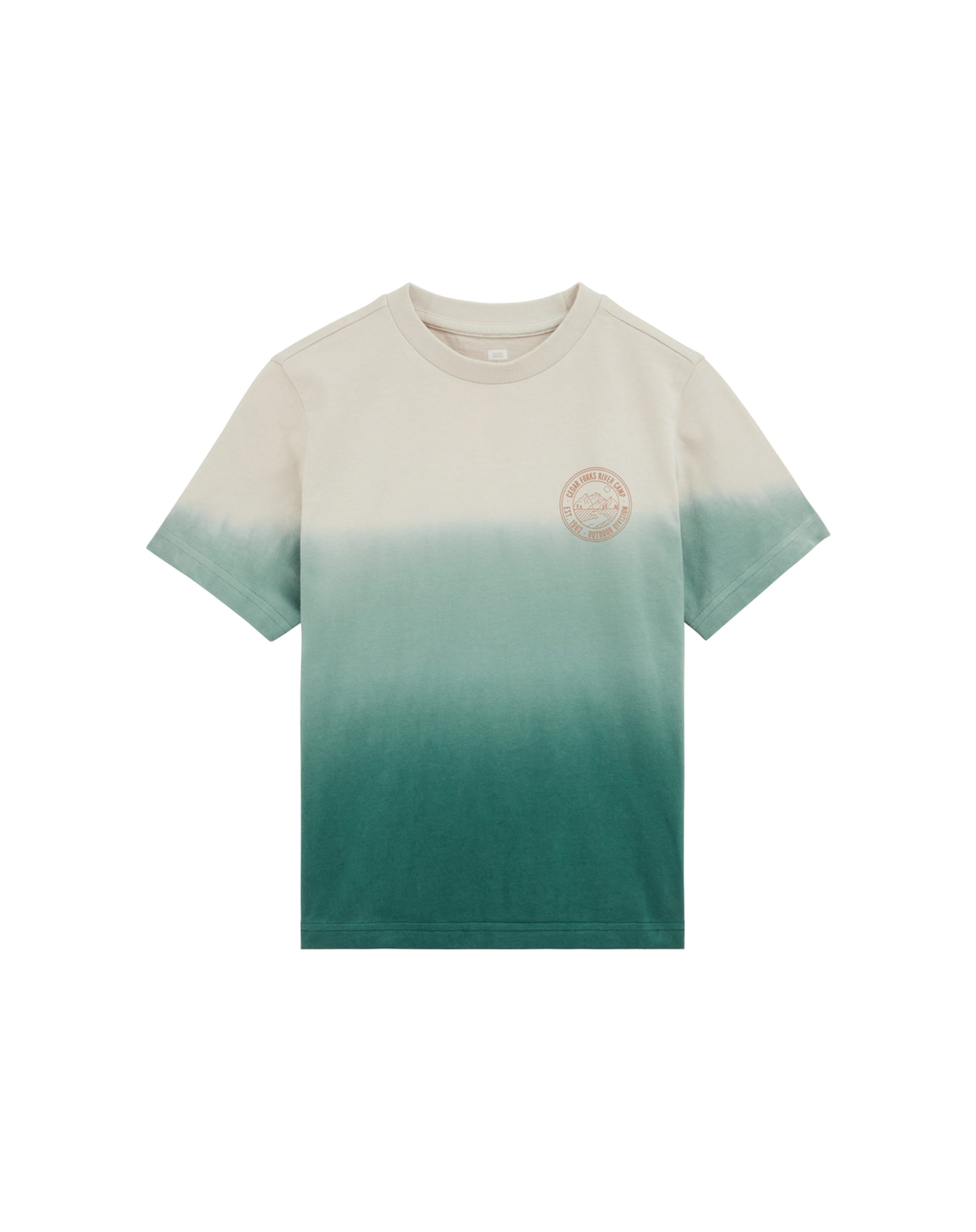 T-Shirt WE Fashion en vert : devant
