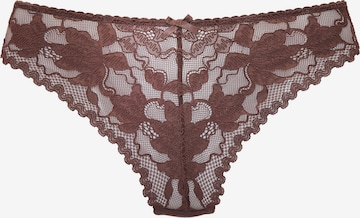 LASCANA Thong in Brown: front