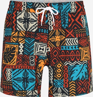 Iriedaily Loosefit Shorts 'Crazy Fresh' in Mischfarben: predná strana