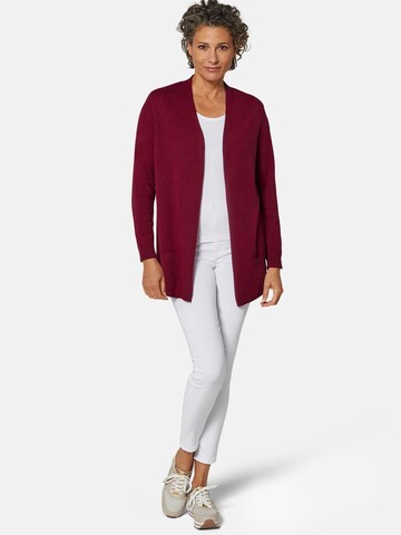 Goldner Sweater in Red