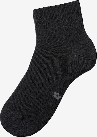 H.I.S Socks in Grey