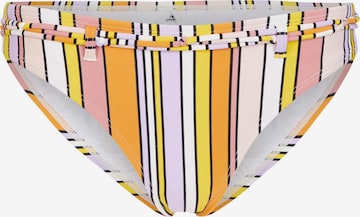 O'NEILL Bikinihose 'Cruz' in Gelb: Vorderseite