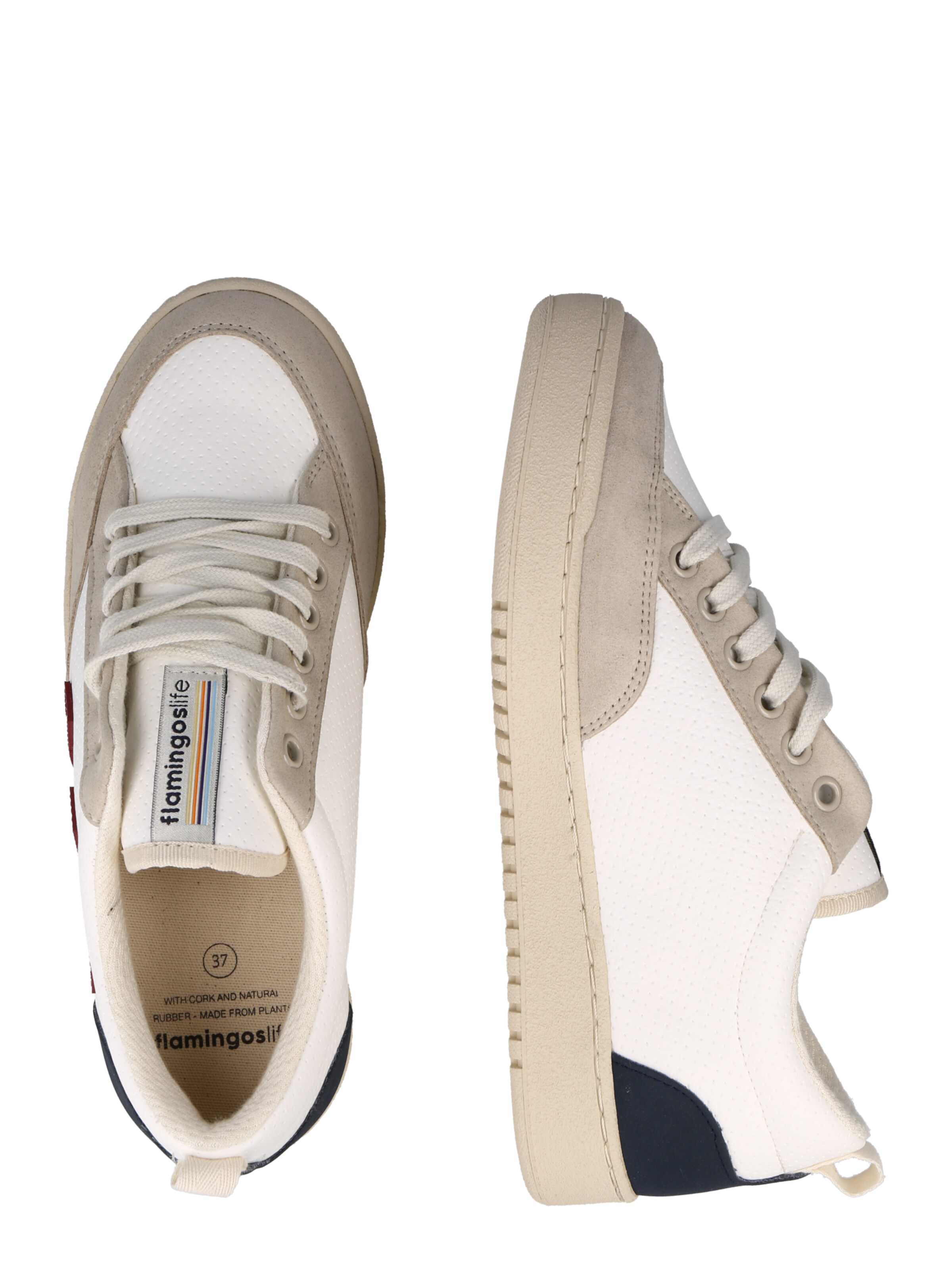 flamingos life roland