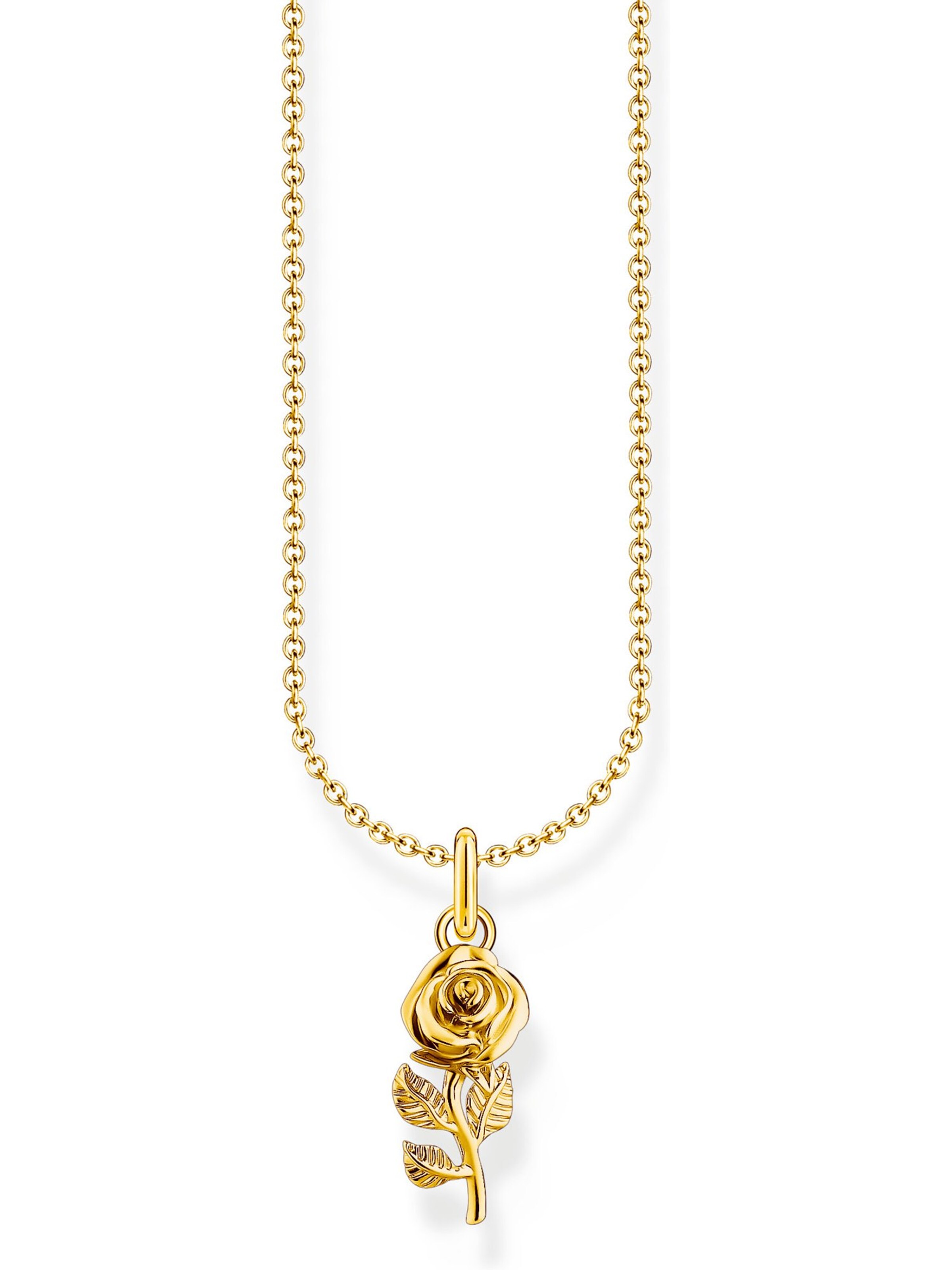 Thomas Sabo Necklace in Gold: front