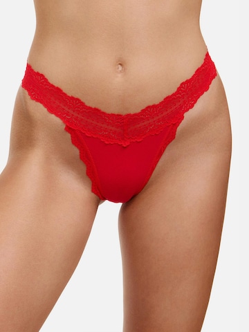 Tazzio - Tanga 'F914' en Mezcla de colores