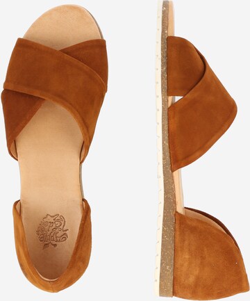 Apple of Eden Sandal in Brown