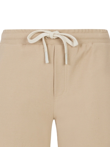 PROTEST Regular Pants 'PRTGraig' in Brown