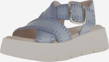 Sandalo di GABOR in blu: frontale