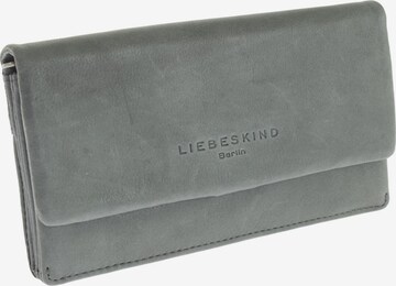 Liebeskind Berlin Small Leather Goods in One size in Green: front