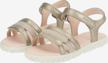 GEOX Sandalen in Goud