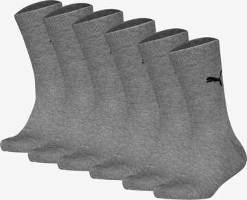 PUMA Socks in Grey: front