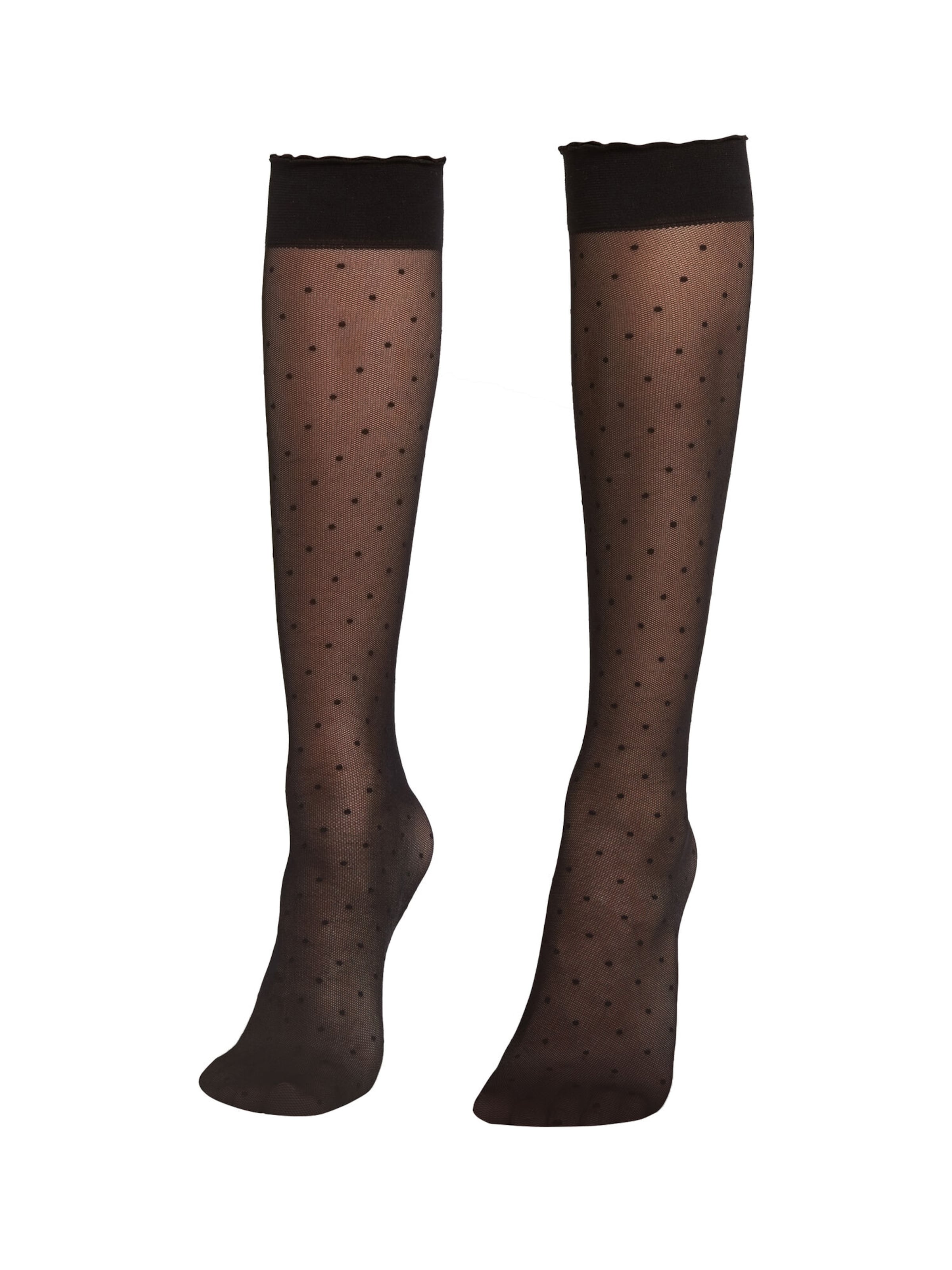 CALZEDONIA Kniestrümpfe in Schwarz: Vorderseite