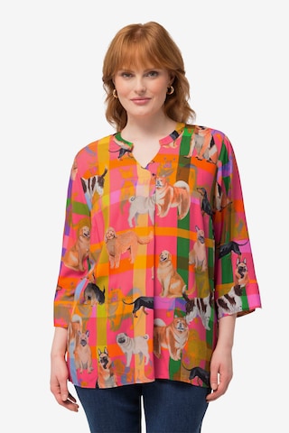 Ulla Popken Tunic in Pink: front