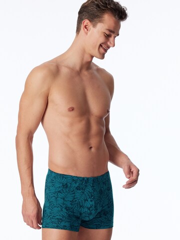 SCHIESSER Boxer shorts ' 95/5 Organic ' in Blue: front