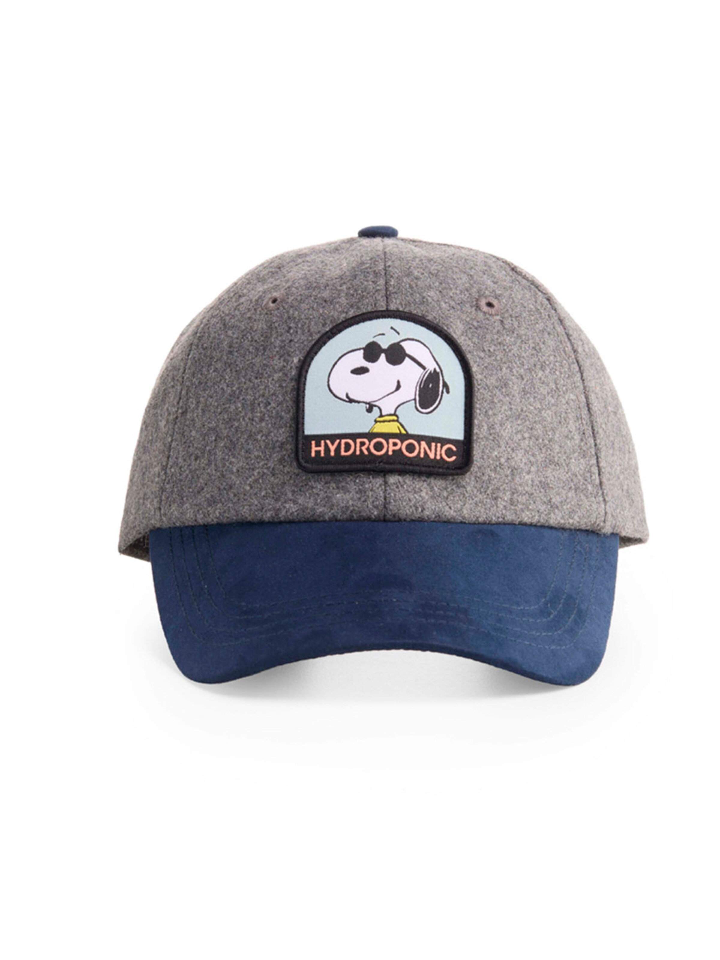 hydroponic - Gorra deportiva 'Hydroponic x Peanuts Cool Cap' en gris: frente