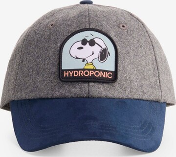 hydroponic - Gorra deportiva 'Hydroponic x Peanuts Cool Cap' en gris: frente