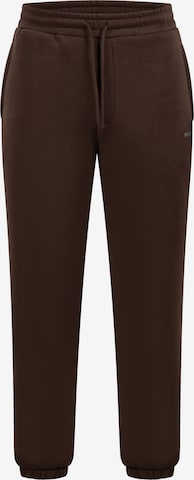 Smilodox Trousers in Brown: front