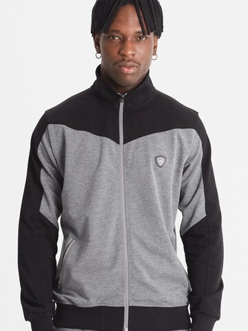 Veste de survêtement 'Yaldo' SCR. en gris : devant