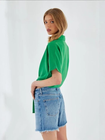 Chemisier MixRay en vert