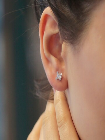 EinStein Diamant Earrings in Silver