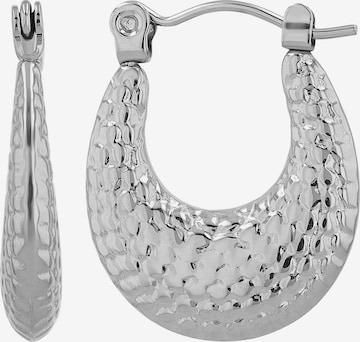 Akzent Earrings 'langlebig' in Silver: front