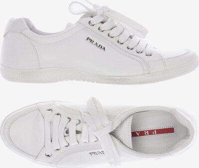 PRADA Sneaker in 37 in weiß, Produktansicht