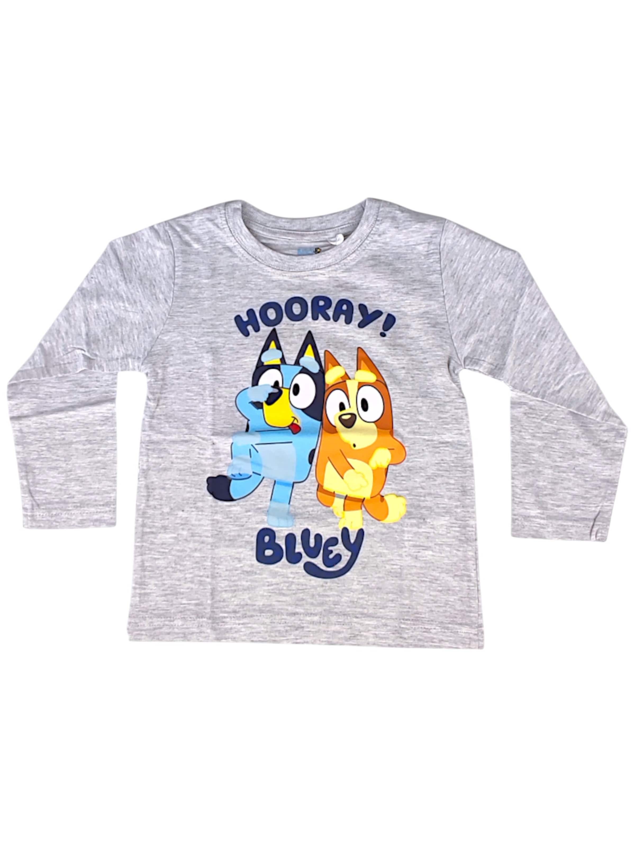 Bluey Shirt 'Bluey & Bingo Langarmshirt' in Grey: front