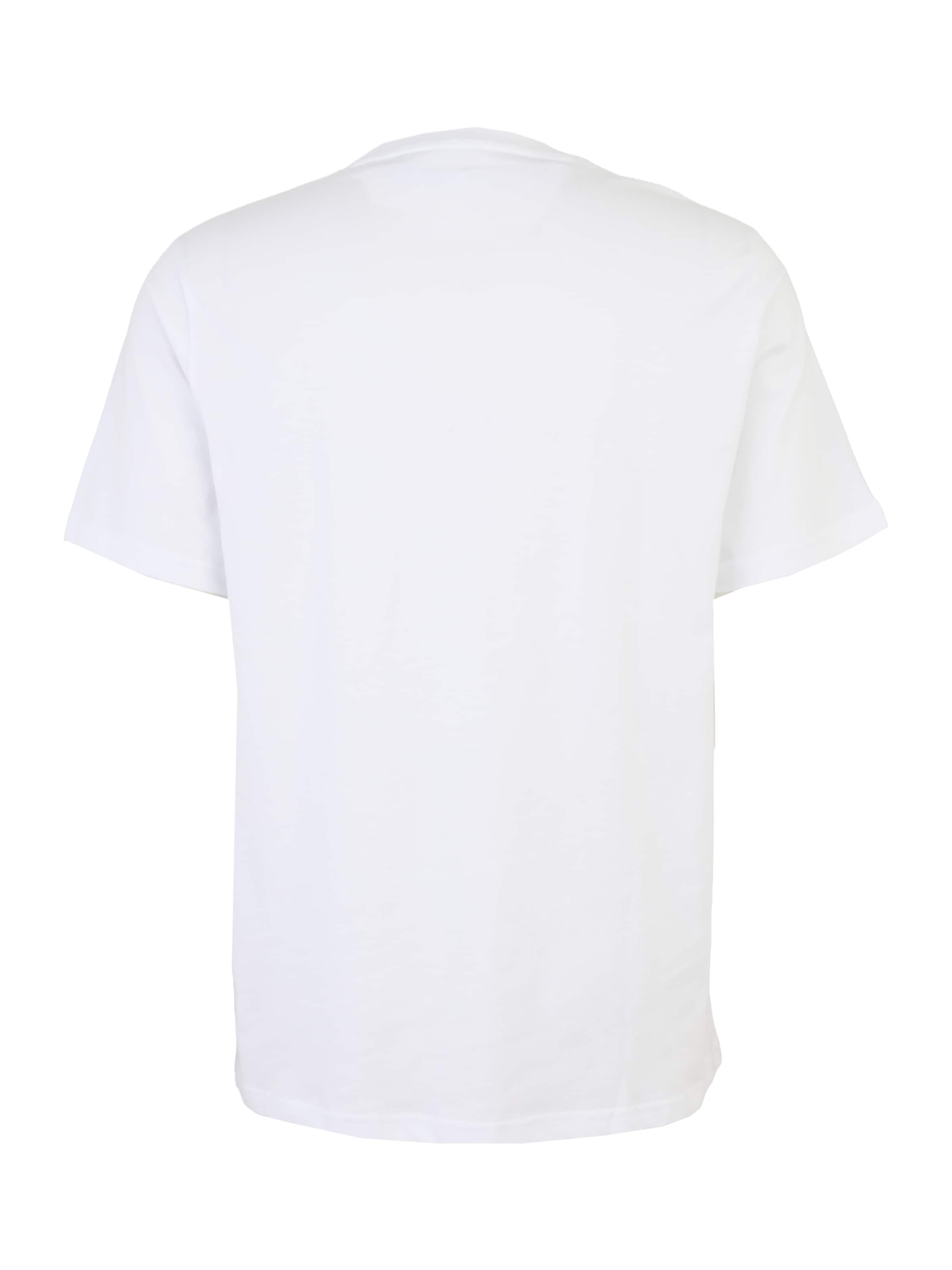 CONVERSE Μπλουζάκι σε λευκό