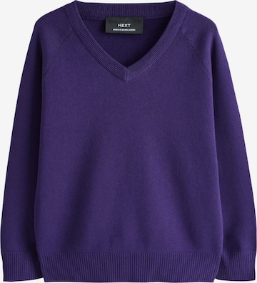 Next Sweater in Purple: front