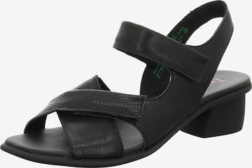 THINK! Pumps 'Vivi' in Black: front