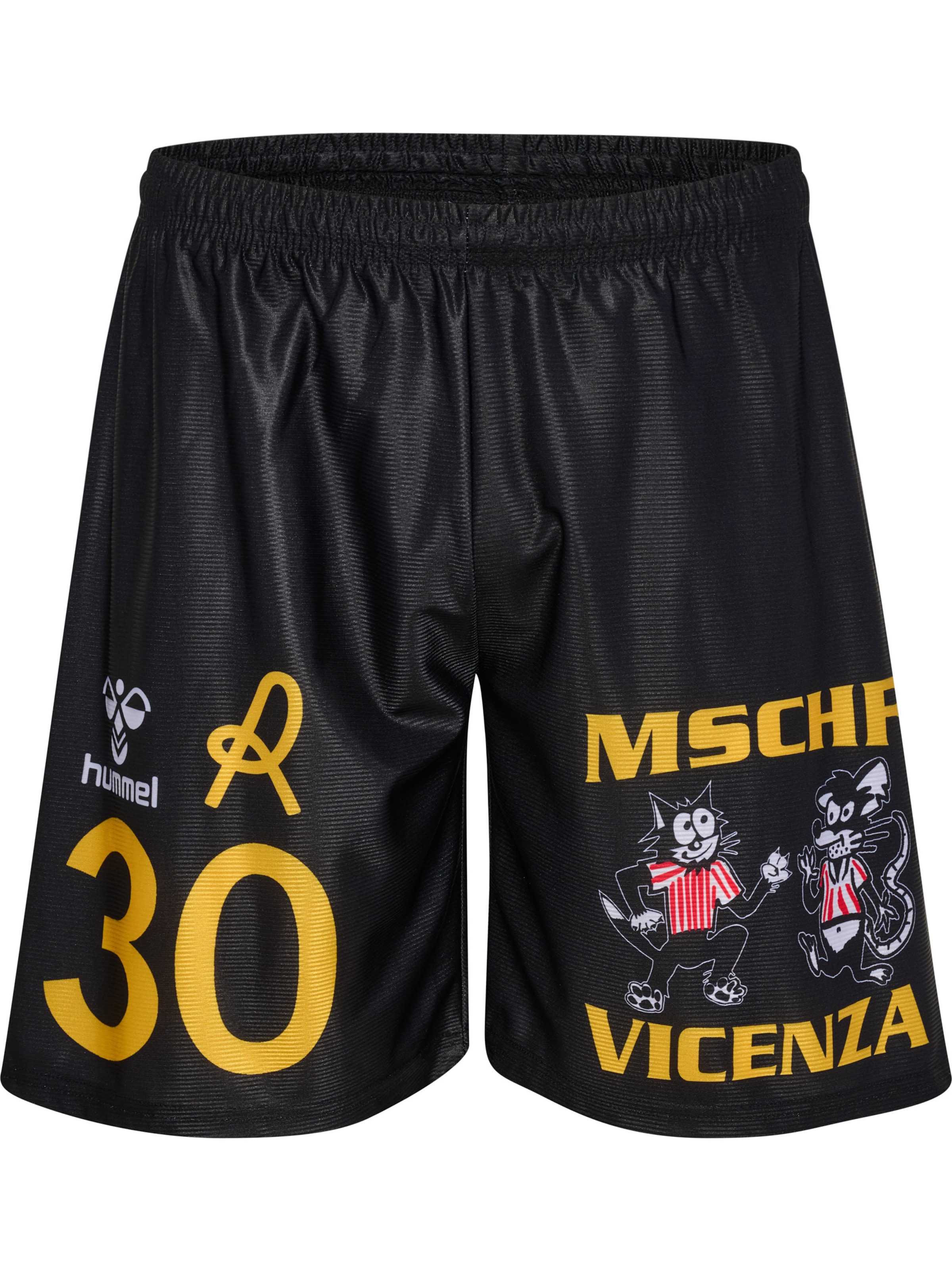 Regular Pantalon de sport Hummel en noir : devant