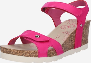 PANAMA JACK Strap sandal 'Julia B58' in Pink: front